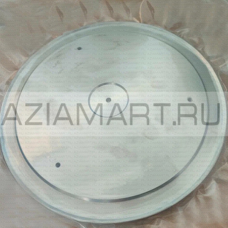 SPPI-305-T20 плита полировальная титановая